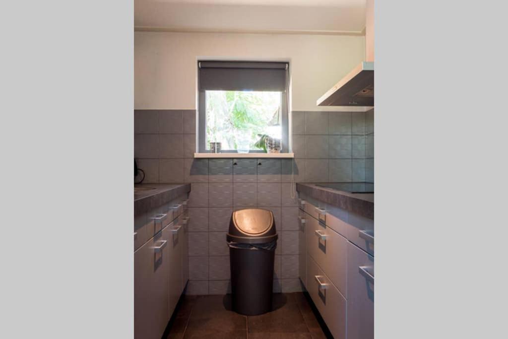 Luxe Recreatiebungalow Zelhem Kültér fotó